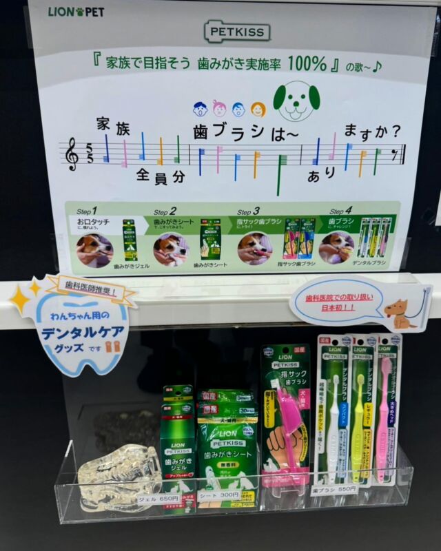 こんにちは♩✨

当院では今月よりわんちゃん用のデンタルケアグッズを販売しております🪥💎
(2枚目の写真は院長の愛犬です🐕‍🦺🖤)

歯科医院での取り扱いは日本初☝🏻🎶💞

院長が実際に使ってみて良かったものを販売させて頂いております🐶🗯️

大事な愛犬の歯は健康であってほしいですよね🦷🙏

わんちゃんも人間も健康で長生きするには口腔ケアが大切です👊🏻🤍

受付前に設置しておりますので、是非宜しければチェックしてみて下さいね😊✔️

🦷もりうえ歯科クリニック🦷
【休診日】木・日・祝 〒615-0097 京都府京都市右京区山ノ内大町8-2 電話番号：075-366-8222
#もりうえ歯科クリニック#歯科医院#歯医者#歯医者さん#歯科医師#歯科衛生士#歯科助手#歯列矯正#矯正#歯の矯正#ワイヤー矯正#マウスピース矯正#きれいな歯#きれいな口元#裏側矯正#むし歯予防#インビザライン#インビザライン矯正#マウスピース矯正#ホワイトニング#京都#kyoto#京都市#右京区#太秦天神川#京都市右京区#西院#京都歯医者#京都市歯医者#右京区歯医者#西院歯医者